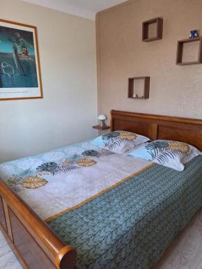 Appartement Schaffhauser
